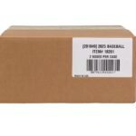 2025 Flawless Baseball Case